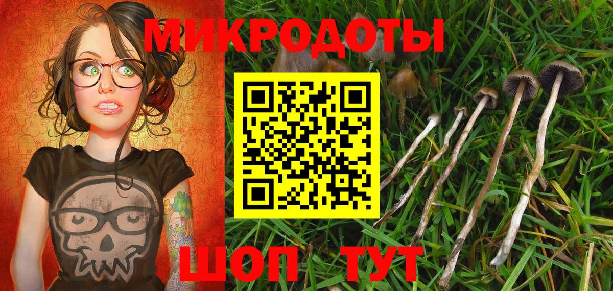 Курганинск  Галлюциногенные грибы MAGIC MUSHROOMS  цены наркотик  Вход с VPN 